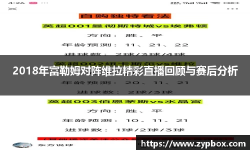 2018年富勒姆对阵维拉精彩直播回顾与赛后分析